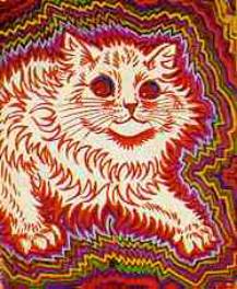 cats cats